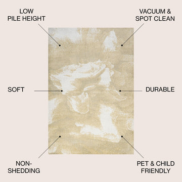 Petalo Abstract Two-tone Modern Area Rug